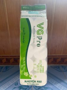 Giấy Vệ Sinh Hà Nội VGpro